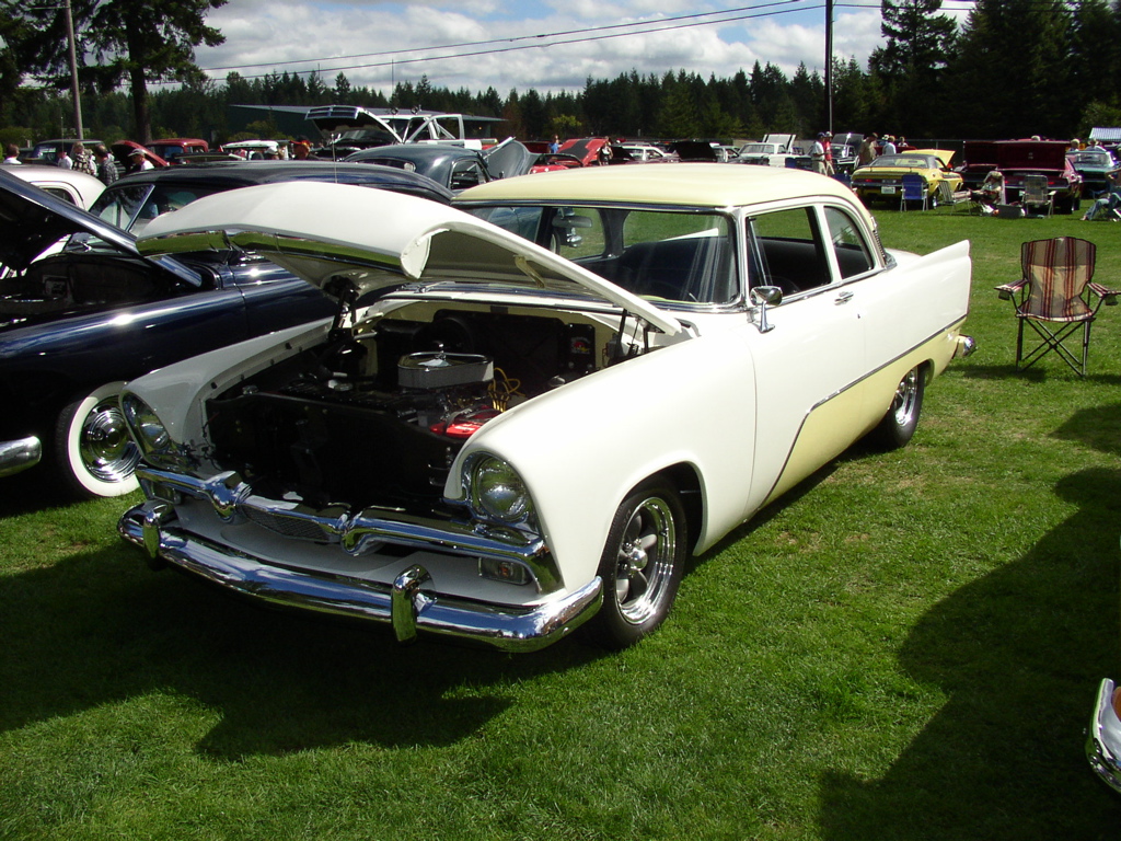 P1010012.JPG